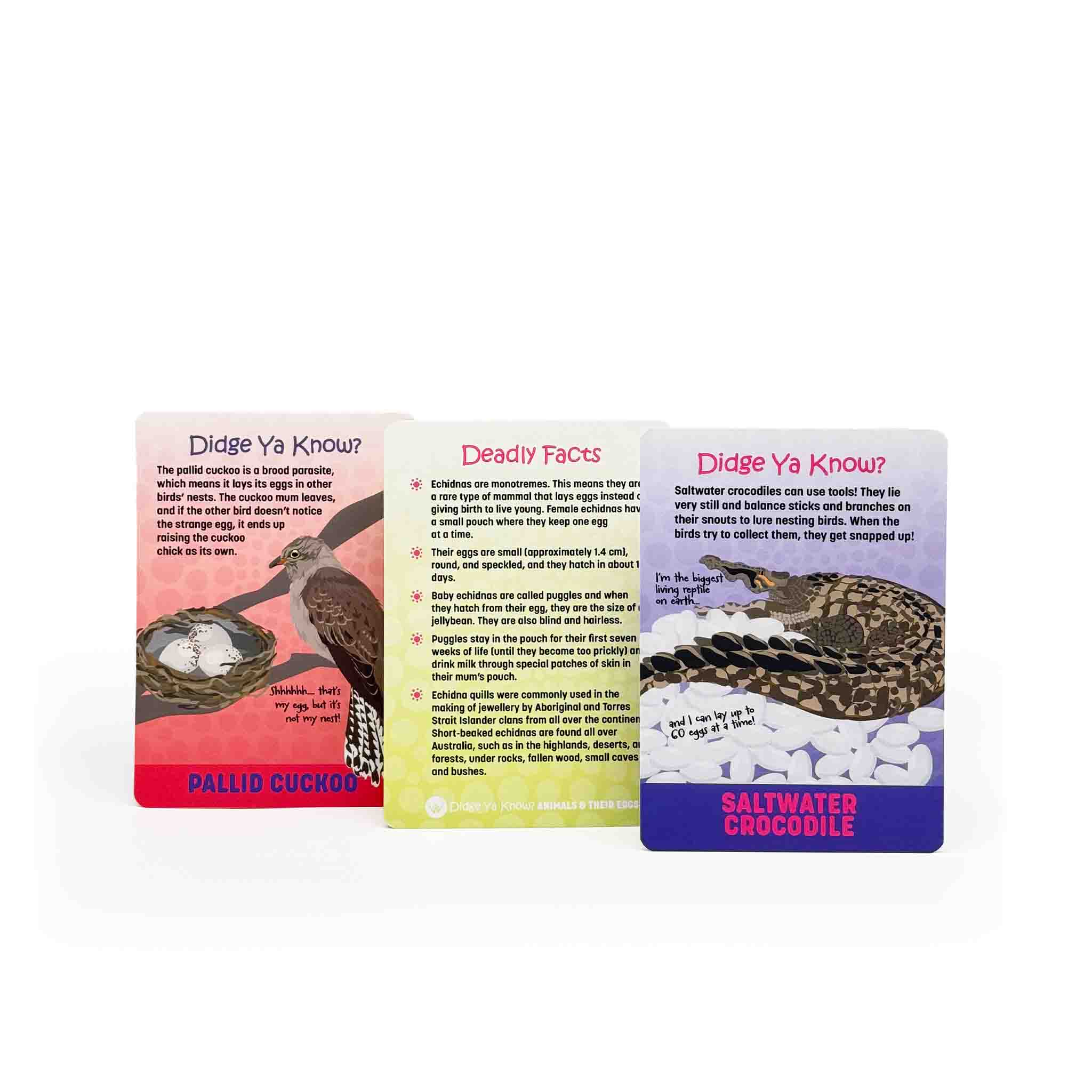 Didge Ya Know? Animals and their Eggs Information Cards
